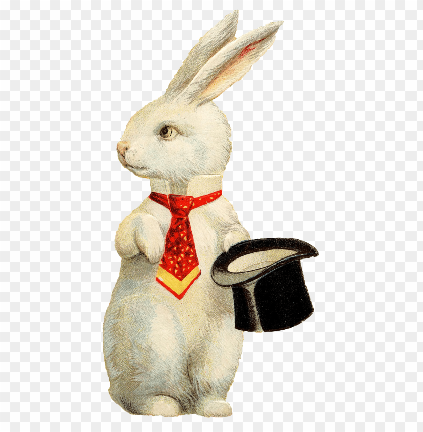 rabbit hat png background image png - Free PNG Images ID 7871