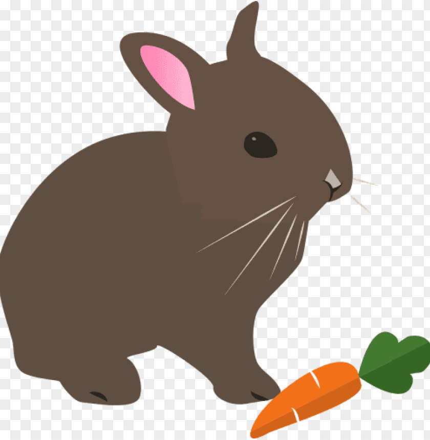 rabbits in cartoon PNG image with transparent background@toppng.com