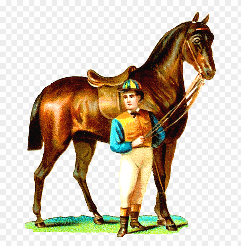 Download race horse and jockey vintage png images background@toppng.com
