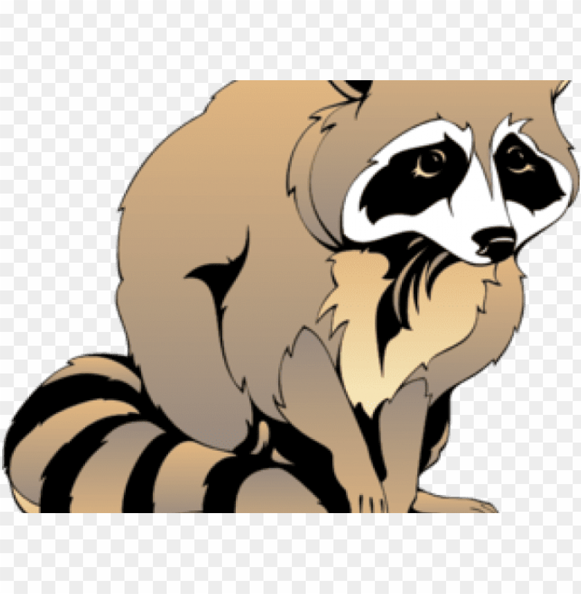Download Racoon Clipart Black And White Raccoon Clipart Png Image With Transparent Background Toppng