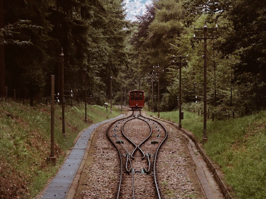 railroad, rails, train, trees, nature