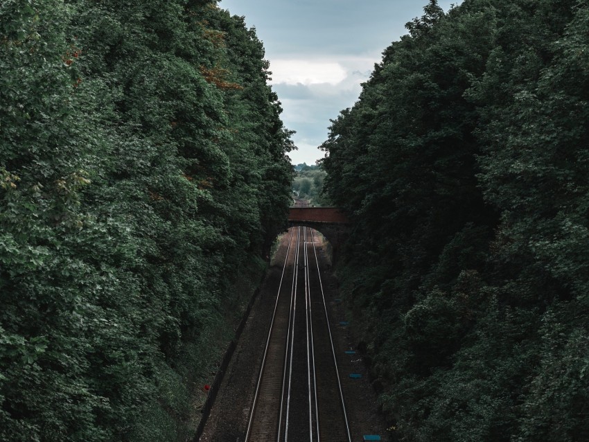 railway, rails, trees, tunnel, corridor