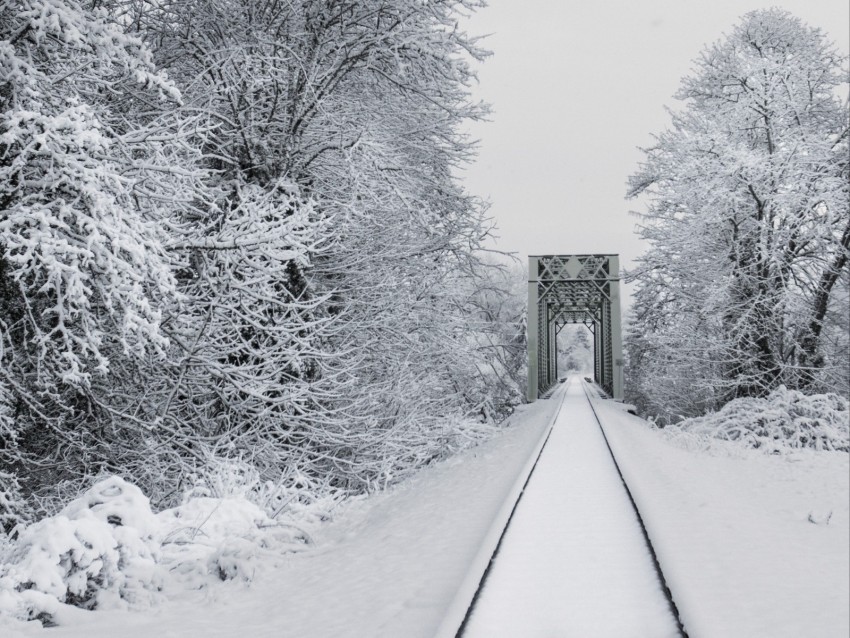 railway, snow, bridge, trees, winter