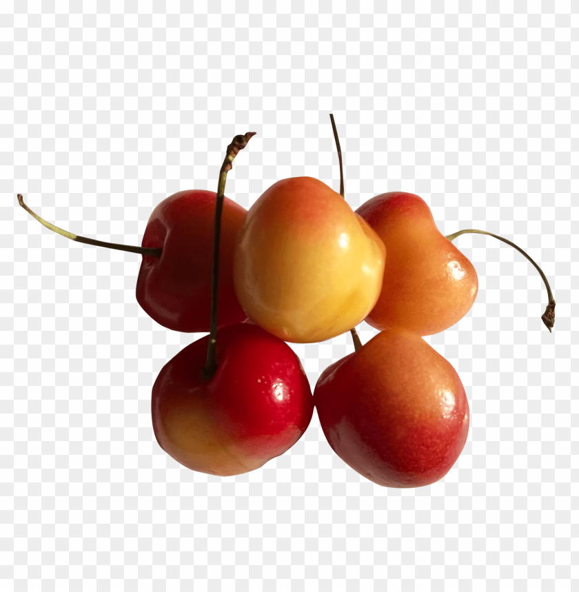 fruits, rainier cherry