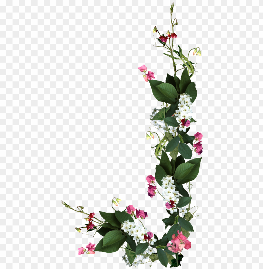 ramos e flores PNG image with transparent background | TOPpng