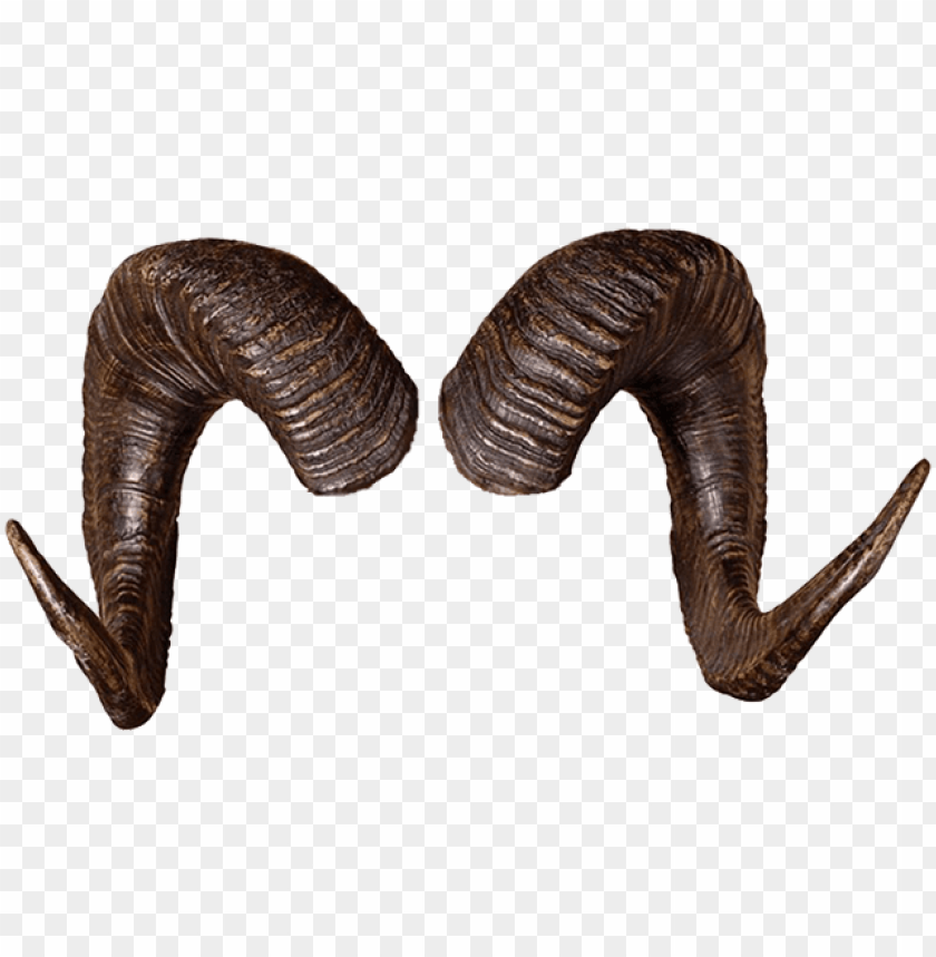 rams horns png - ram horn PNG image with transparent background.