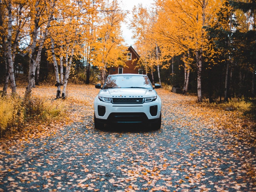 range rover, land rover, suv, autumn, front view