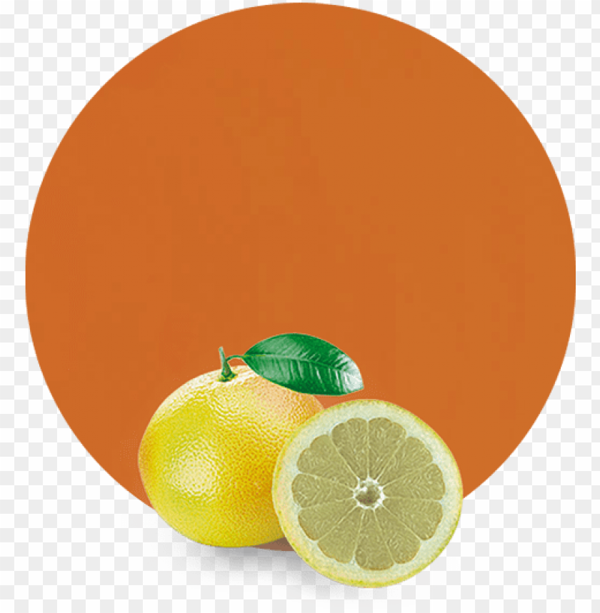 fruit, industry, objects, design, orange, isolated, essentials