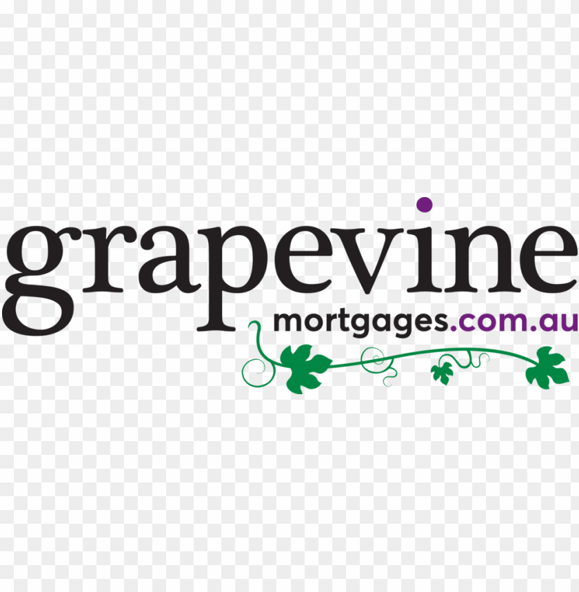 wine, branch, food, plant, vine, grapes, grape vine