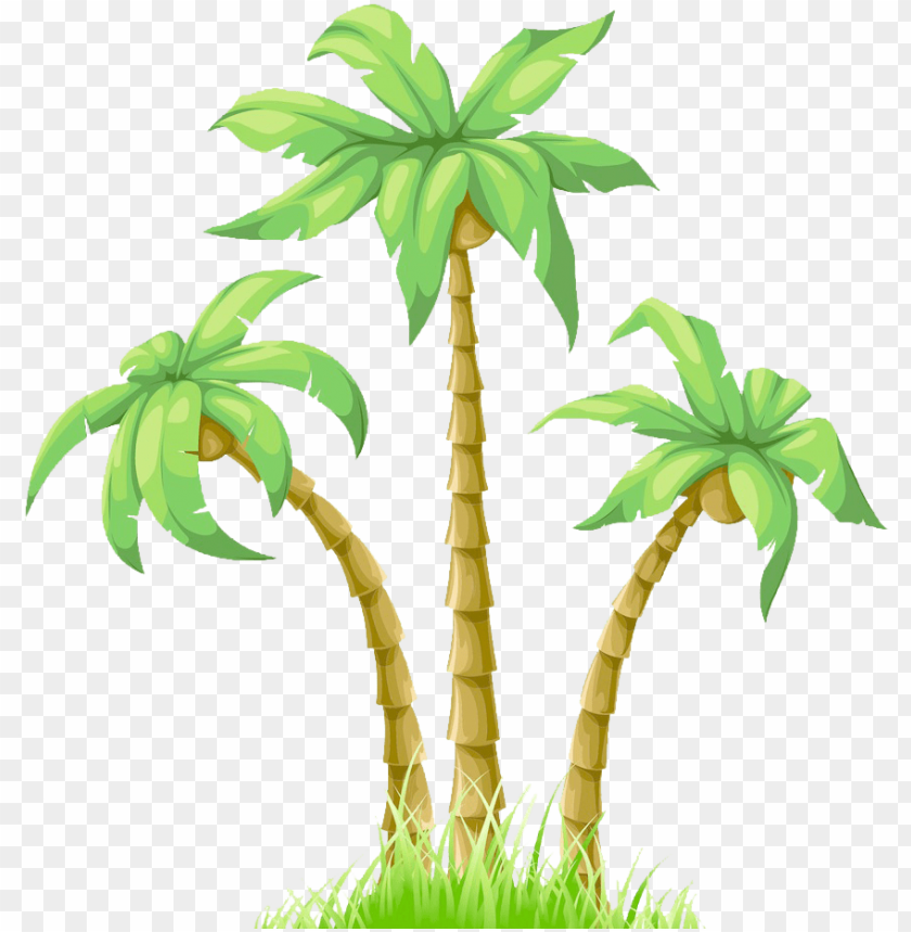 raphic black and white download cartoon poster coconut - coconut tree  vector PNG image with transparent background | TOPpng