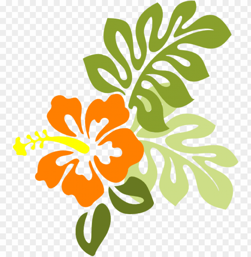 free PNG raphic transparent library clip art at clker com vector - orange hibiscus flower clipart PNG image with transparent background PNG images transparent