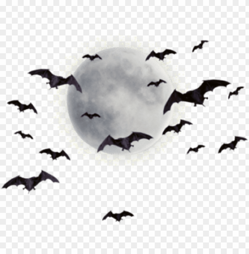 raphics moonpng moon and bats PNG transparent with Clear Background ID 282925