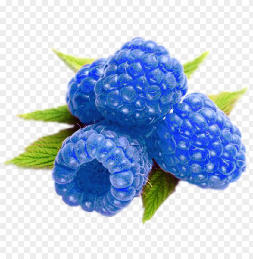 Raspberries Clipart Cute Blue Raspberry Png Image With Transparent Background Toppng