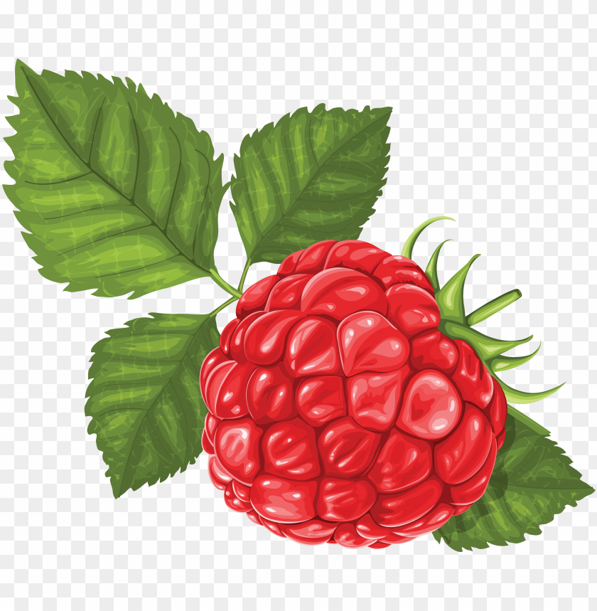 
raspberry
, 
a sweet rose-colored wine
, 
anglo-latin
, 
vinum raspeys

