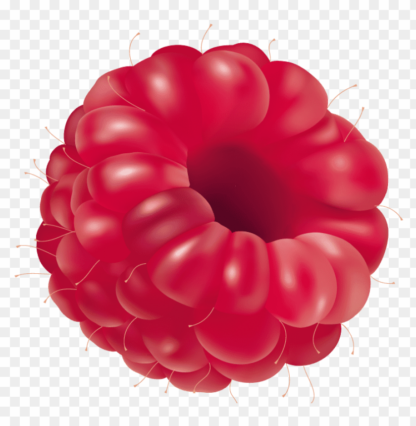 raspberry clipart png photo - 33555