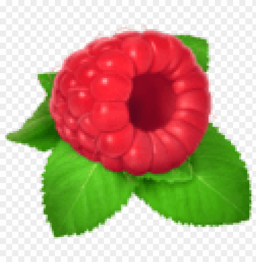 raspberry clipart png photo - 35653