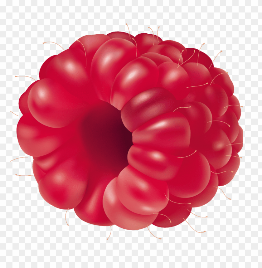 raspberry fruit clipart png photo - 33520