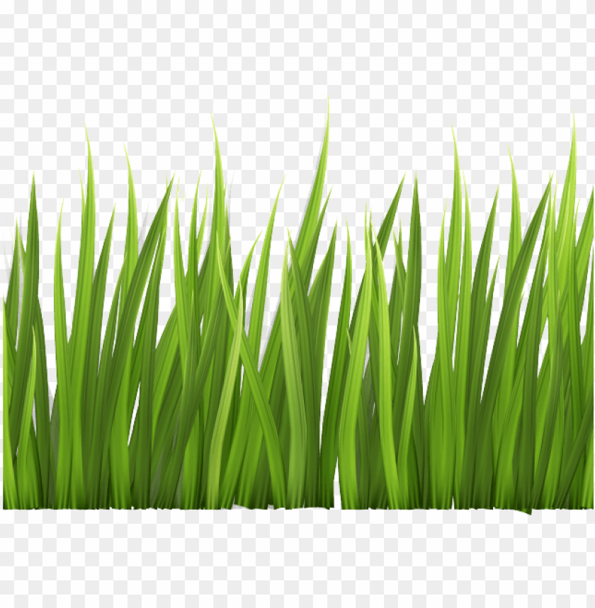 free PNG rass clipart clear background - clipart transparent background grass PNG image with transparent background PNG images transparent