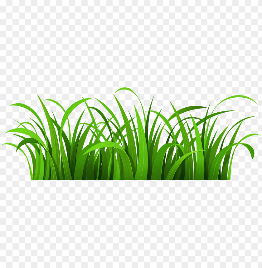 rass patch png clipart grass and flowers clipart PNG transparent with Clear Background ID 287452