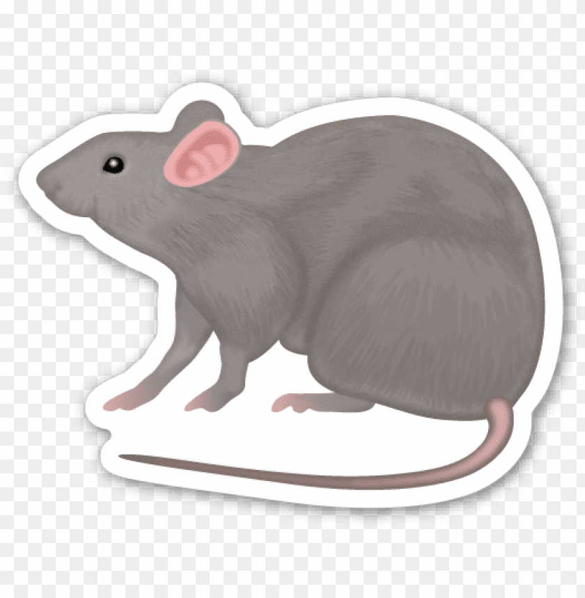 Rat - Rat Emoji Sticker PNG Transparent With Clear Background ID 172997