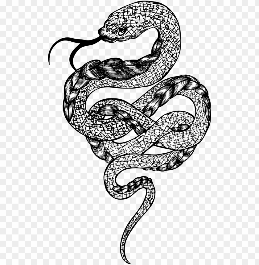 snake, beautiful, pattern, happy, skin, animal, rattlesnake