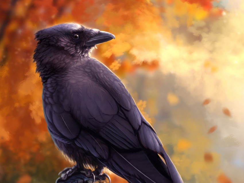 raven, bird, art, black, autumn