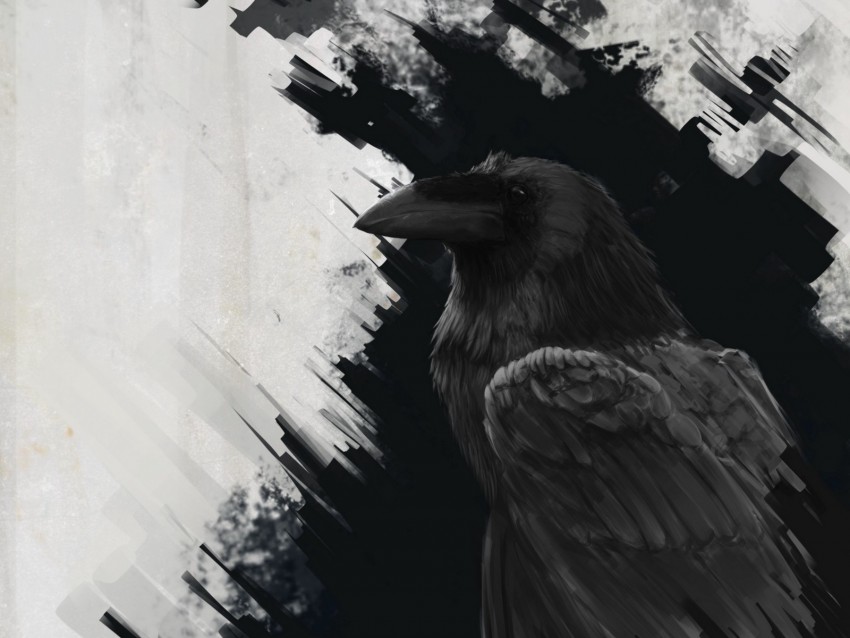 raven, bird, art, black, lines