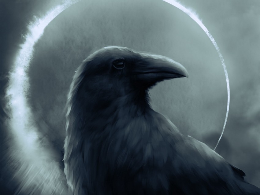 raven, bird, art, dark, circle