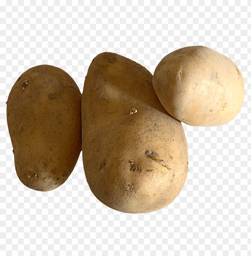 Download raw potato png images background@toppng.com