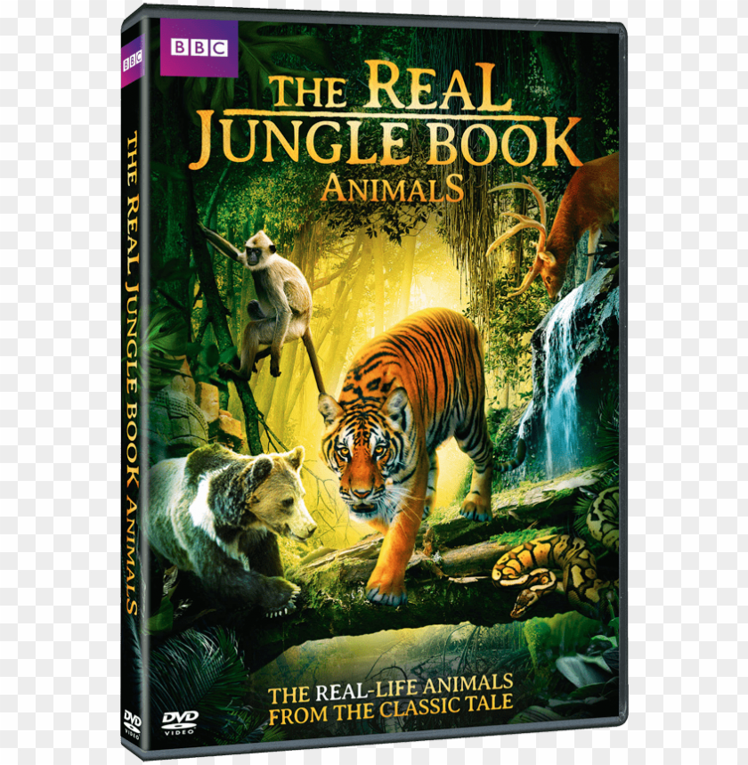 real jungle book animals PNG image with transparent background | TOPpng