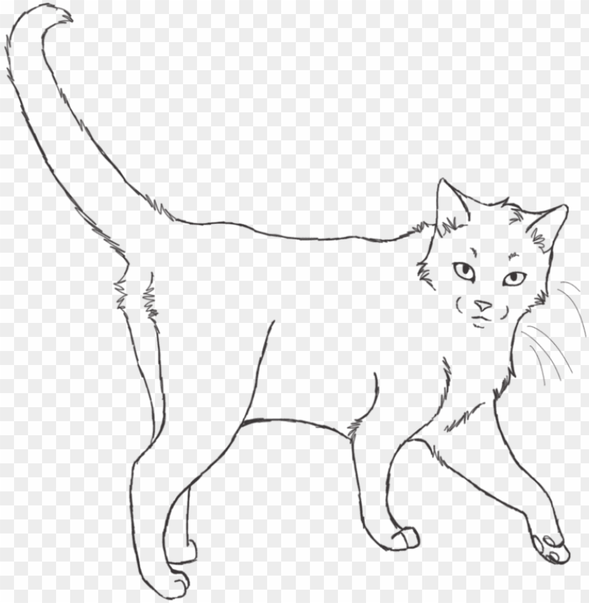 Transparent cat bases I will say who made these as soon as I remember   Art base Drawing base Anime poses reference