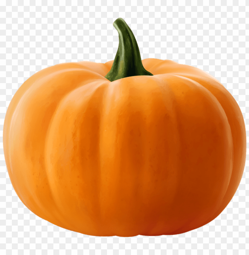 Transparent realistic pumpkin PNG background - Image ID 49384