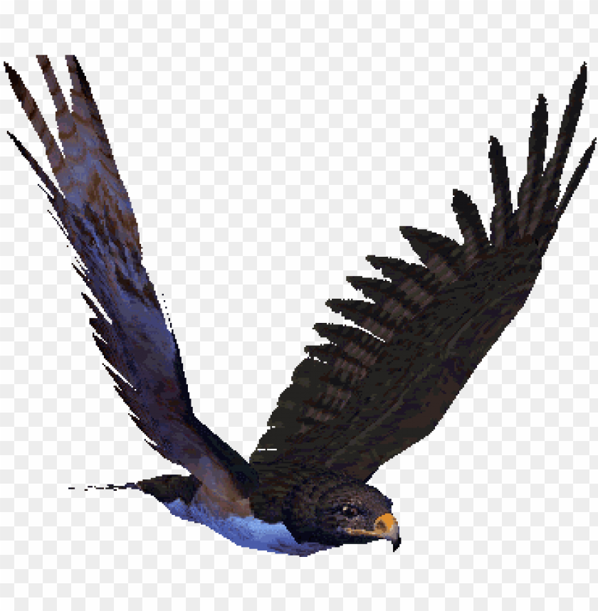 reat animated eagle gifs at best animations - flying hawk animated gif ...