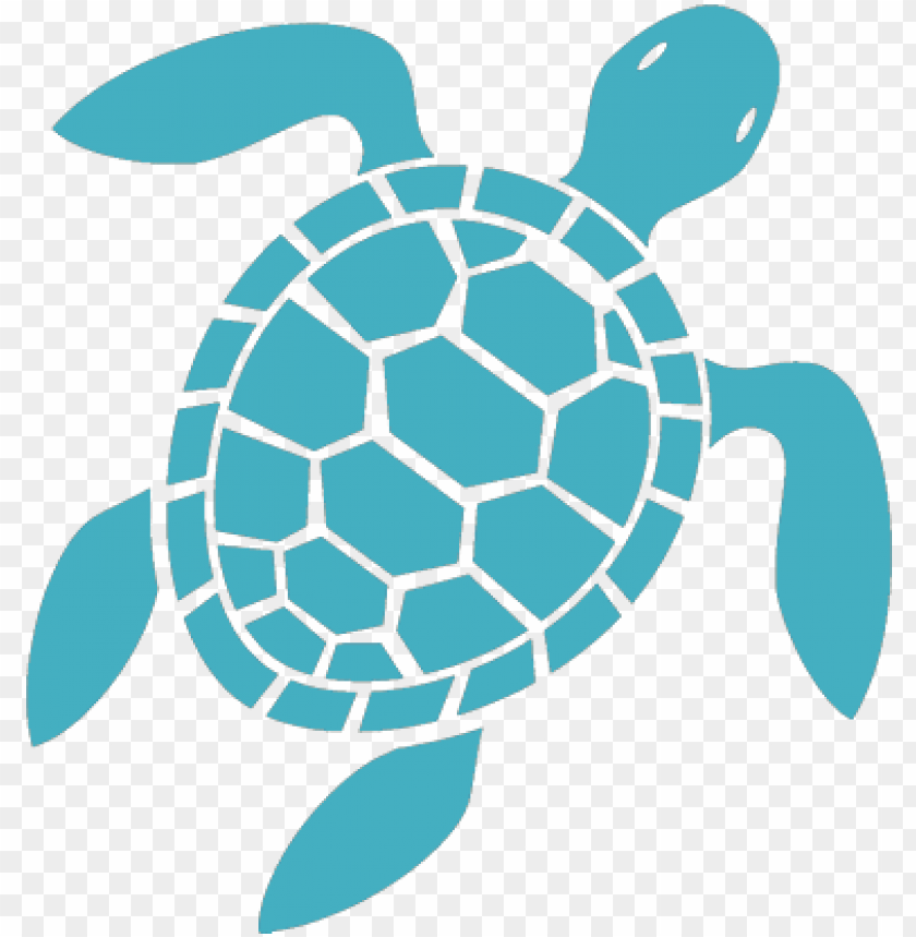 Reat Pricing Sea Turtle Icon Png Image With Transparent