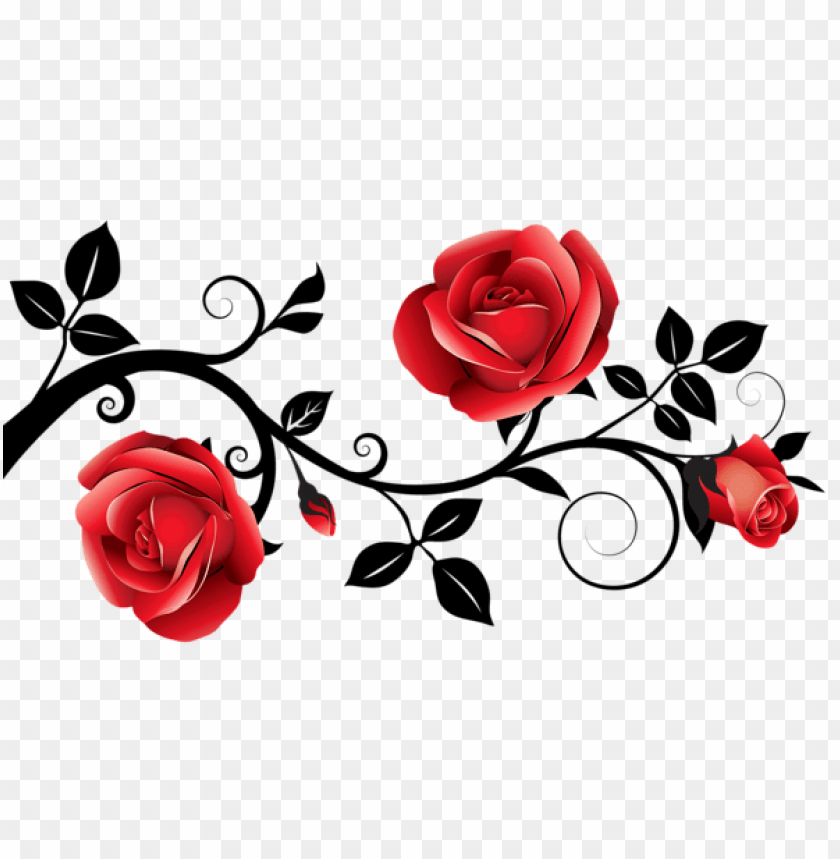 red and black decorative roses