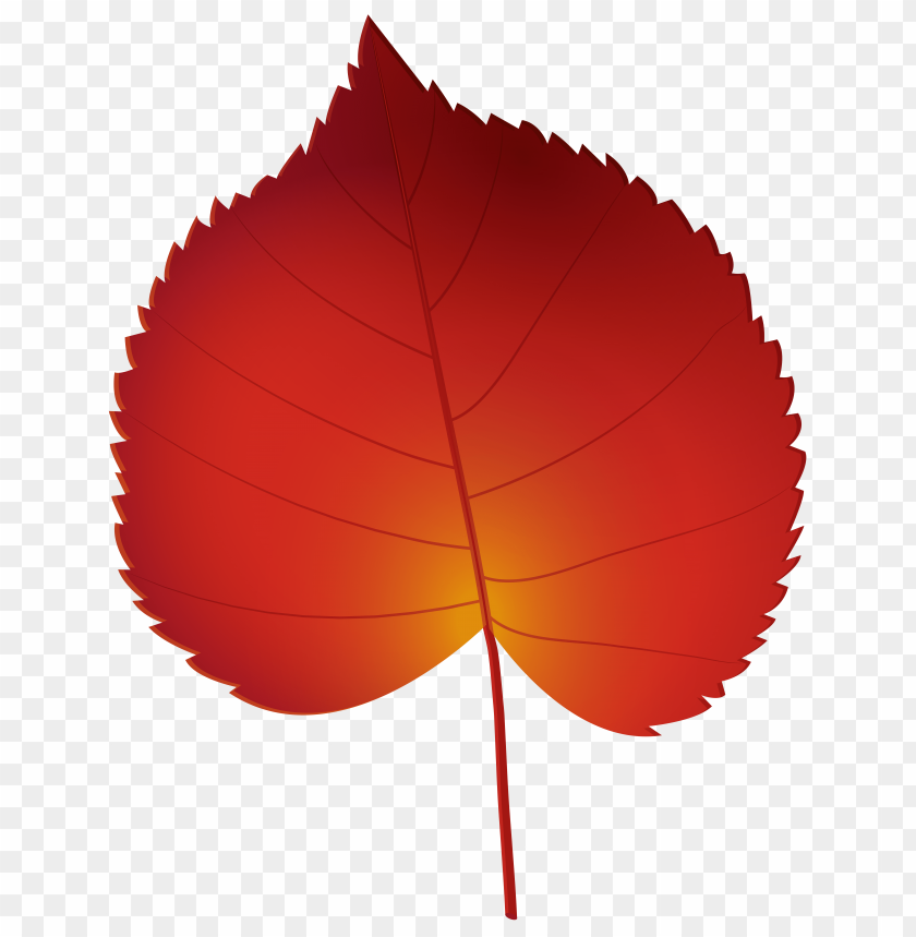 autumn, leaf, red