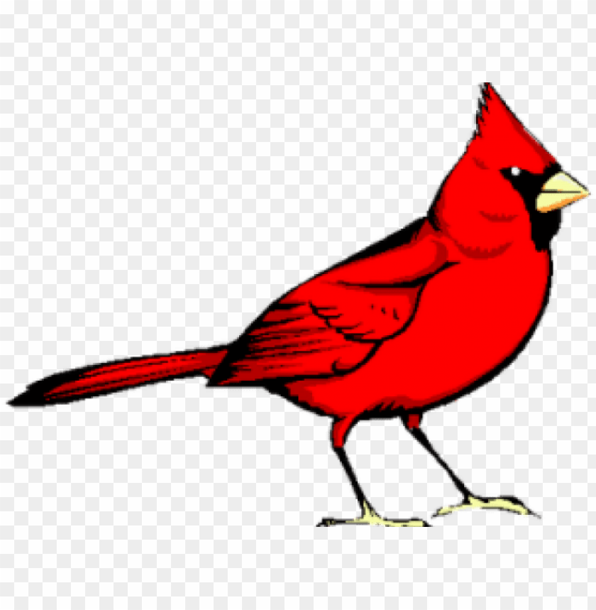 graphic design, cardinal, library icon, graphic, phoenix bird, twitter bird logo
