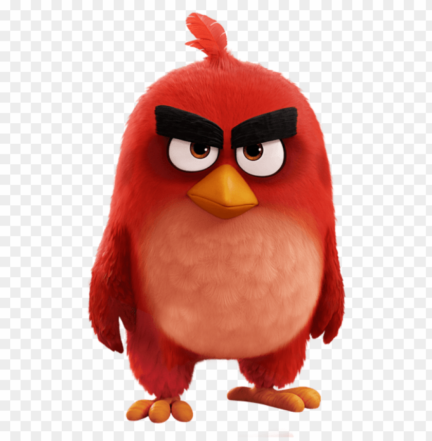 Download red bird the angry birds movie clipart png photo  @toppng.com
