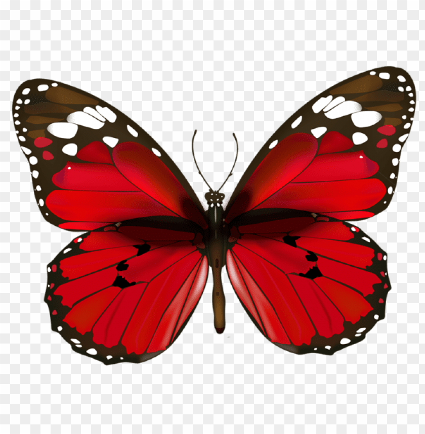 red butterfly clipart png photo - 47838