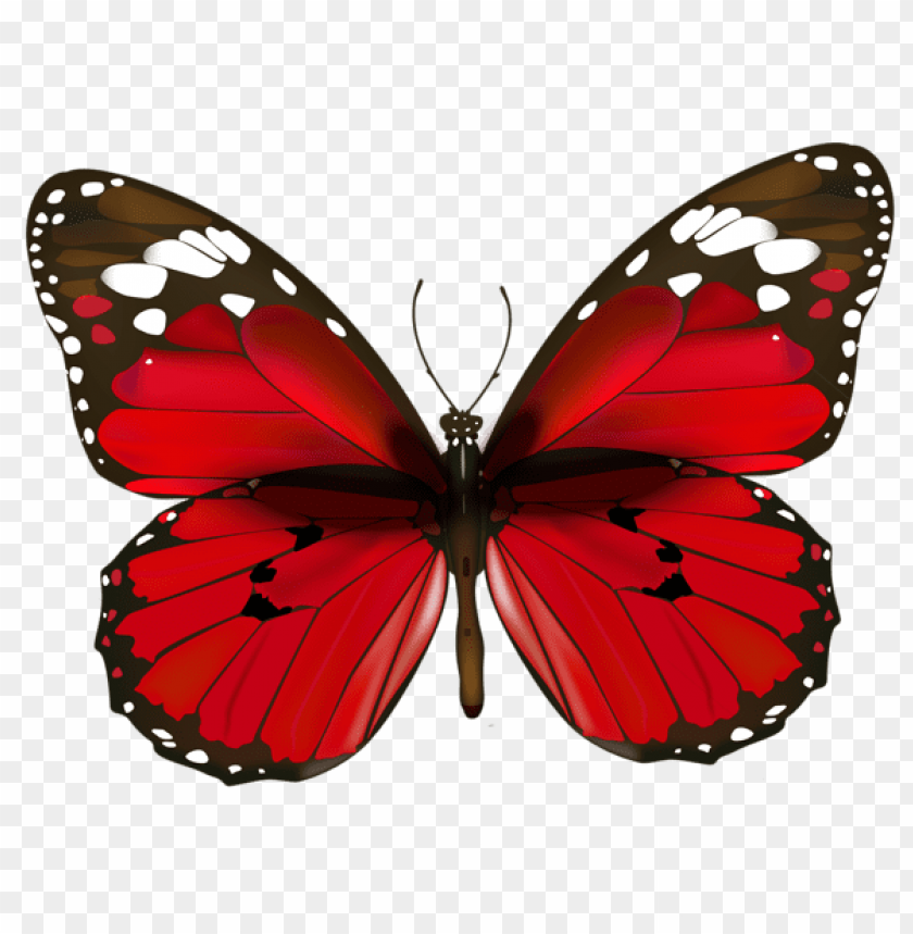 Download Red Butterfly Clipart Png Photo Toppng