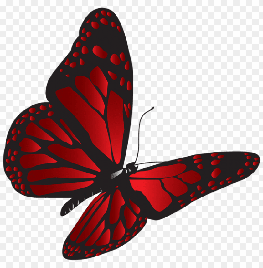Download Red Butterfly Png Clipart Png Photo Toppng