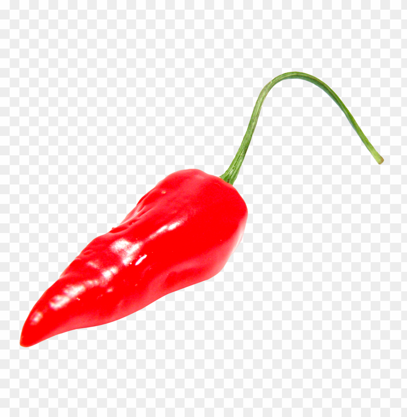 
chilli
, 
pepper
, 
capsicum
, 
red chili
, 
hot
