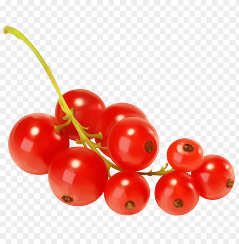 red, currants
