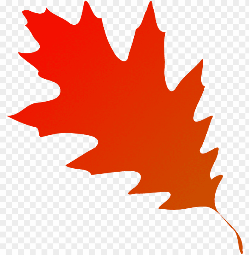 autumn leaf, fall leaf, leaf crown, green leaf, leaf clipart, pot leaf