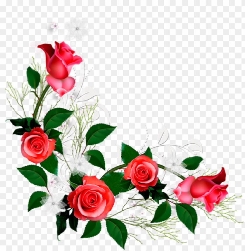 background, border, floral, decorative, template, corners, flowers