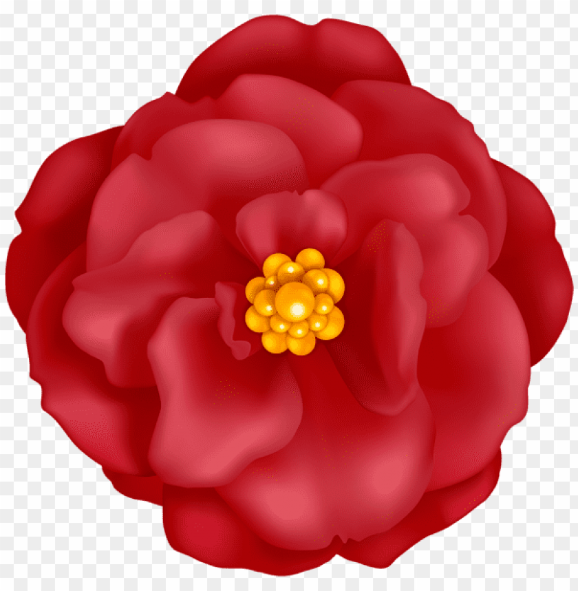 red flower decorative