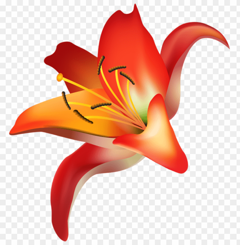 red flower png