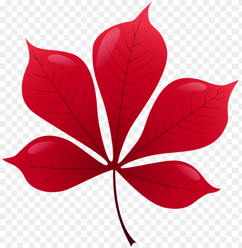 leaf, red