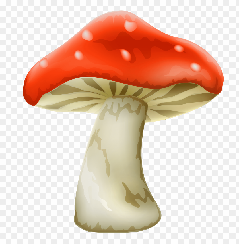 dots, mushroom, red, white, with