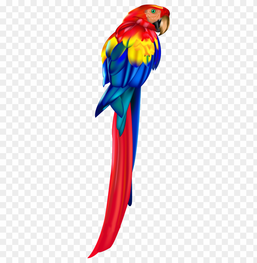 parrot, red